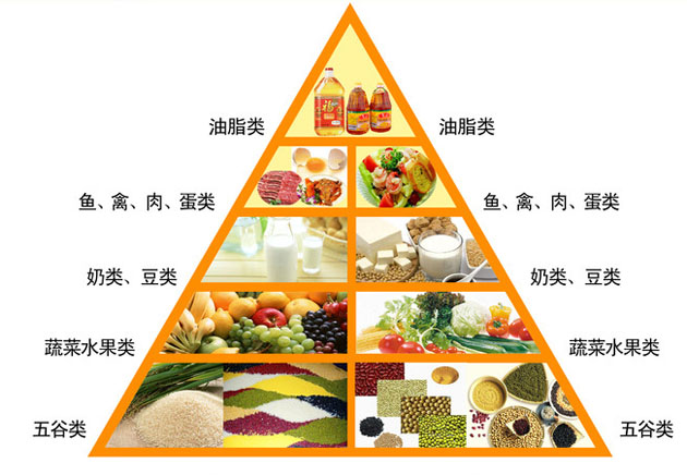 饮食营养知识
